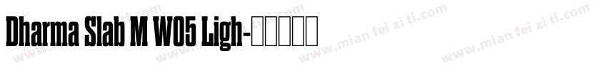 Dharma Slab M W05 Ligh字体转换